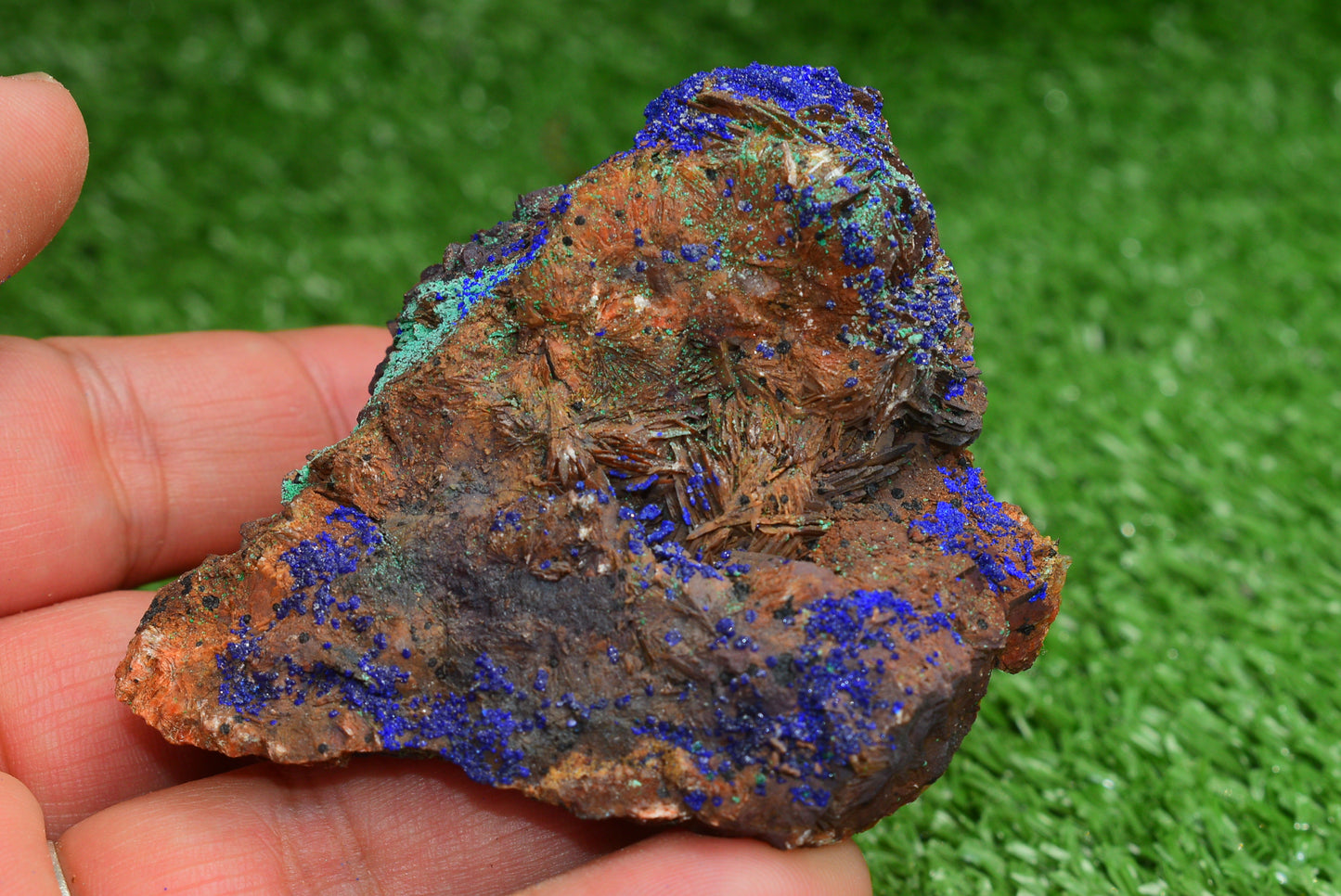Azurite over Malachite Crystal from Morocco - Freeform Cluster Shape, Natural and Genuine - MeteoriteNwa.com