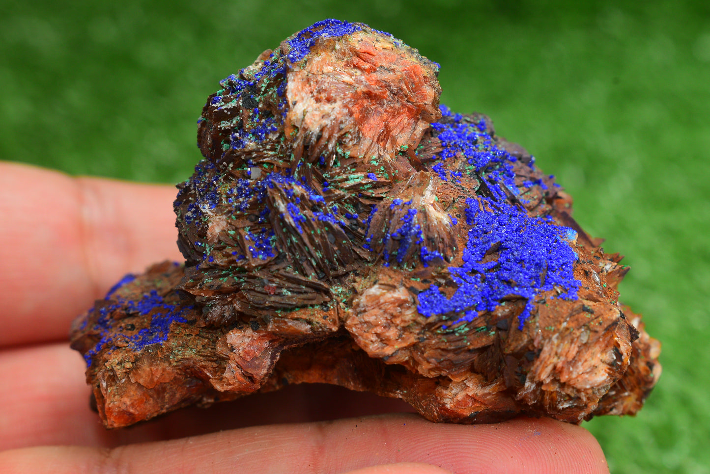 Azurite over Malachite Crystal from Morocco - Freeform Cluster Shape, Natural and Genuine - MeteoriteNwa.com