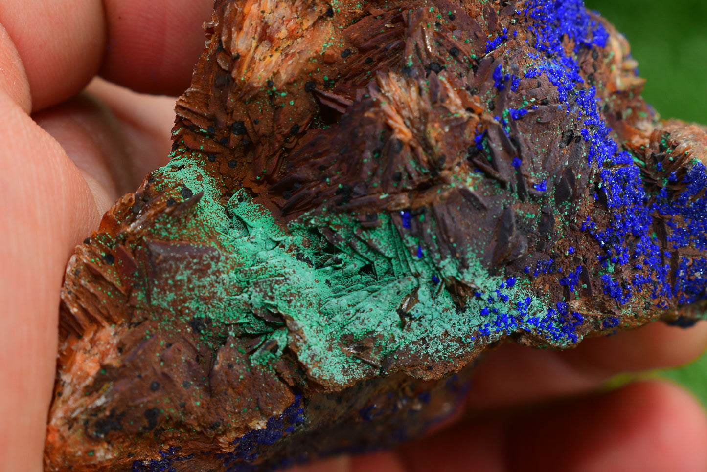 Azurite over Malachite Crystal from Morocco - Freeform Cluster Shape, Natural and Genuine - MeteoriteNwa.com