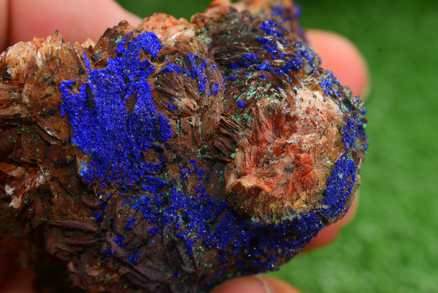 Azurite over Malachite Crystal from Morocco - Freeform Cluster Shape, Natural and Genuine - MeteoriteNwa.com
