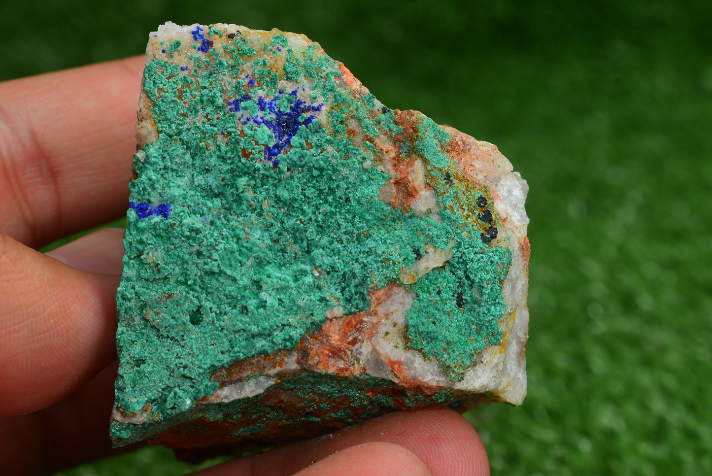 Azurite over Malachite Crystal from Morocco - Freeform Cluster Shape, Natural and Genuine - MeteoriteNwa.com