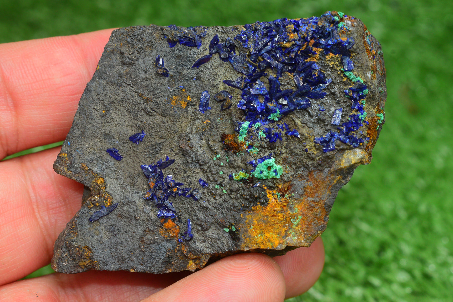 Azurite over Malachite Crystal from Morocco - Freeform Cluster Shape, Natural and Genuine - MeteoriteNwa.com