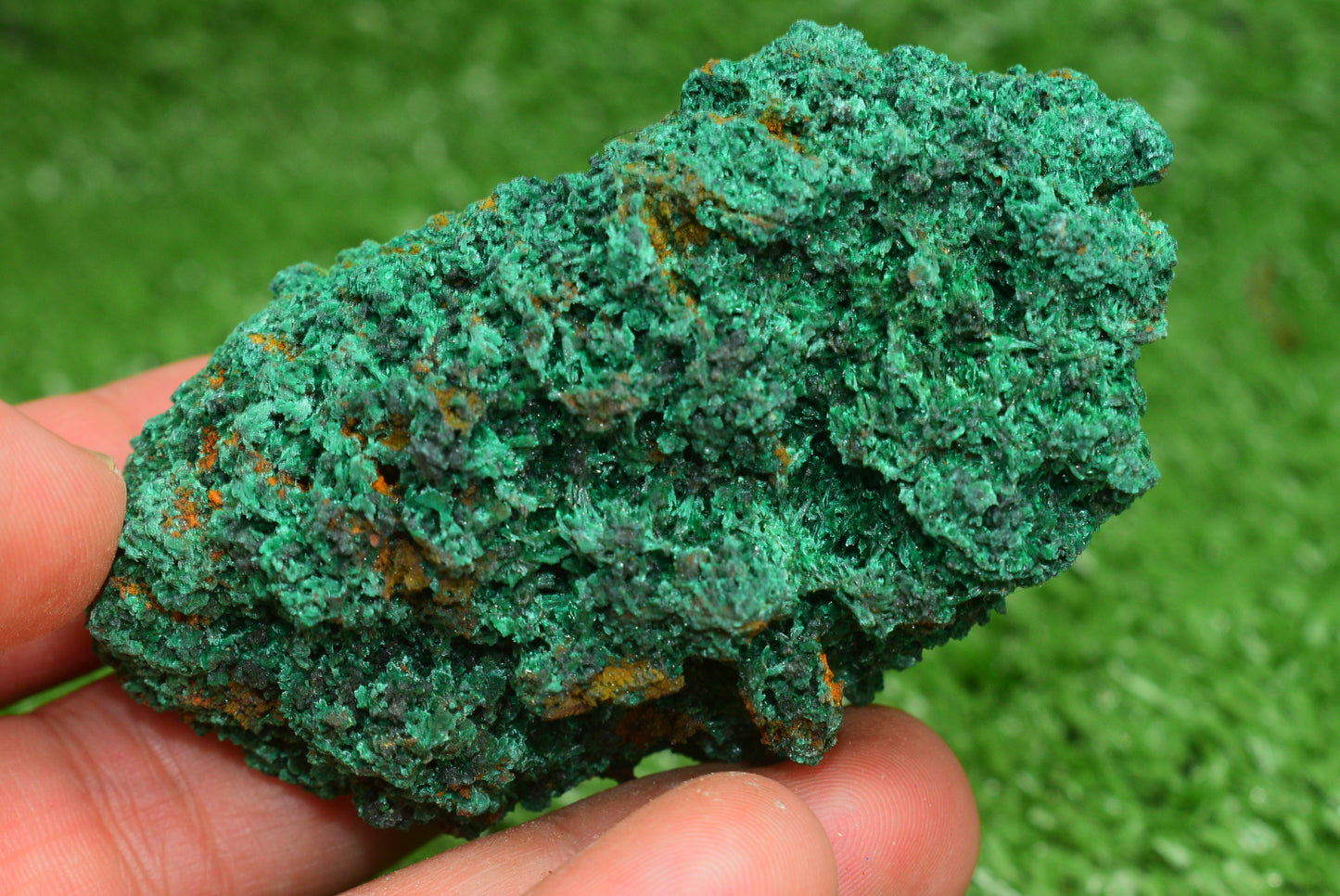 Malachite Crystal from Morocco - Freeform Cluster Shape, Natural and Genuine - MeteoriteNwa.com
