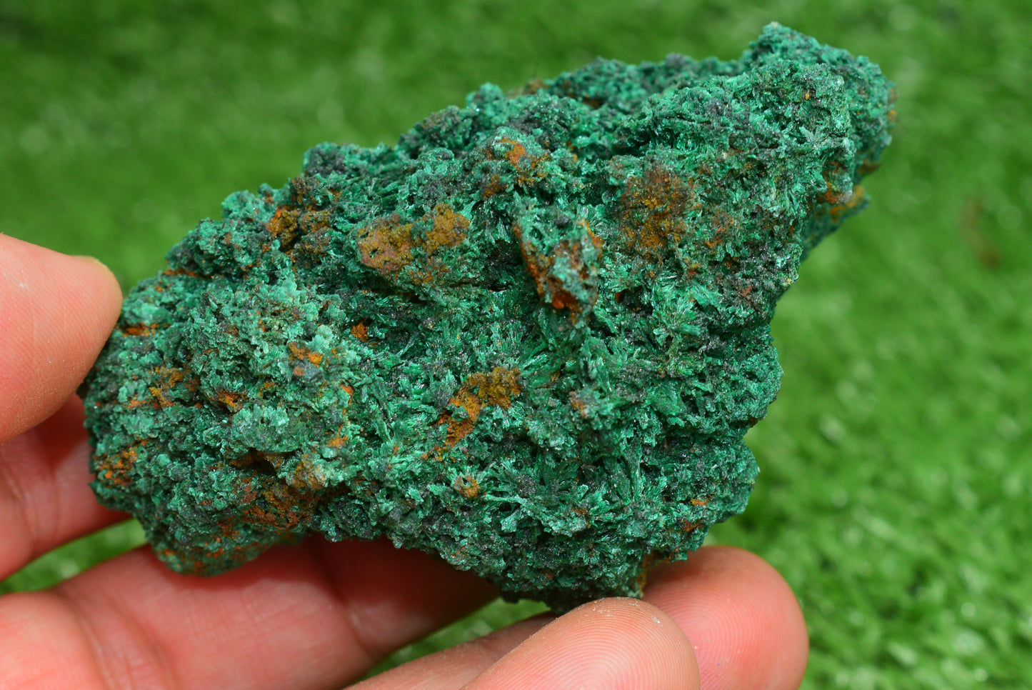 Malachite Crystal from Morocco - Freeform Cluster Shape, Natural and Genuine - MeteoriteNwa.com