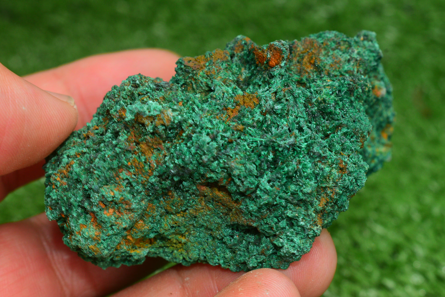 Malachite Crystal from Morocco - Freeform Cluster Shape, Natural and Genuine - MeteoriteNwa.com