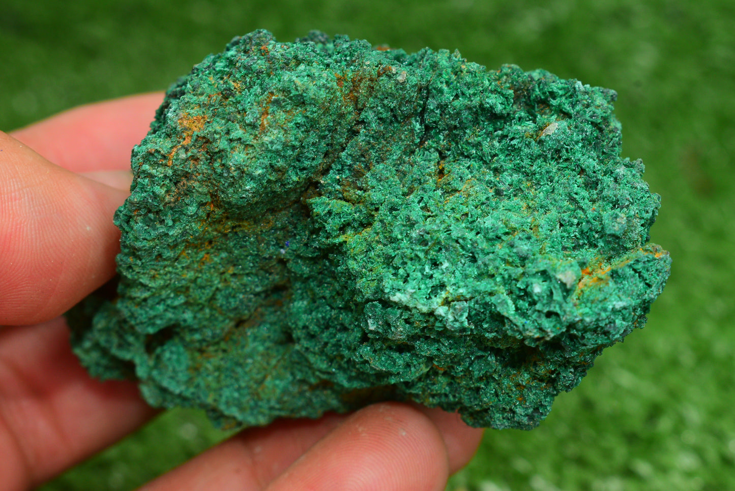 Malachite Crystal from Morocco - Freeform Cluster Shape, Natural and Genuine - MeteoriteNwa.com