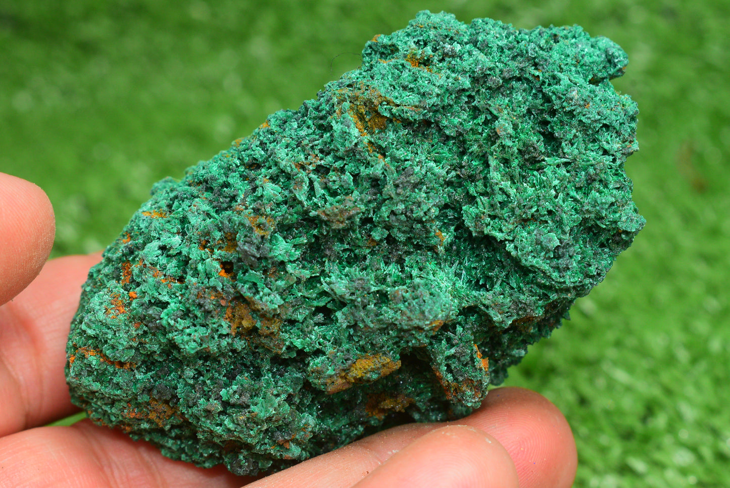 Malachite Crystal from Morocco - Freeform Cluster Shape, Natural and Genuine - MeteoriteNwa.com