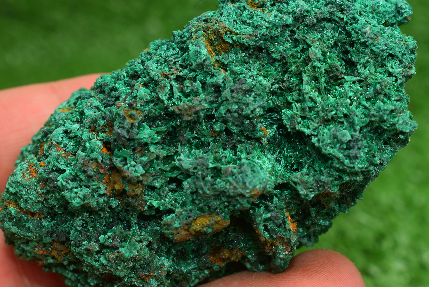 Malachite Crystal from Morocco - Freeform Cluster Shape, Natural and Genuine - MeteoriteNwa.com