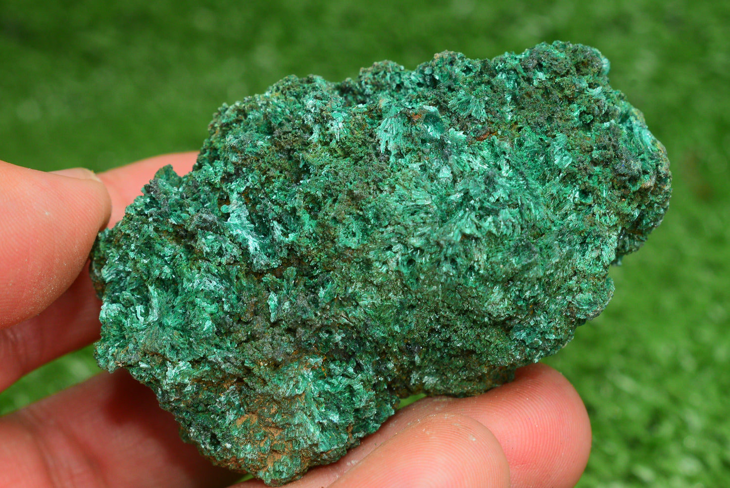 Malachite Crystal from Morocco - Freeform Cluster Shape, Natural and Genuine - MeteoriteNwa.com