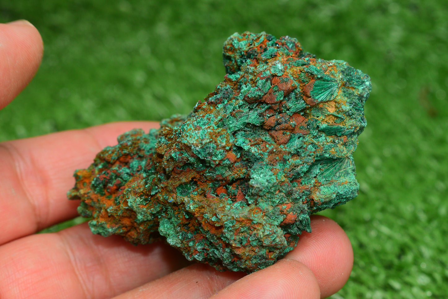 Malachite Crystal from Morocco - Freeform Cluster Shape, Natural and Genuine - MeteoriteNwa.com