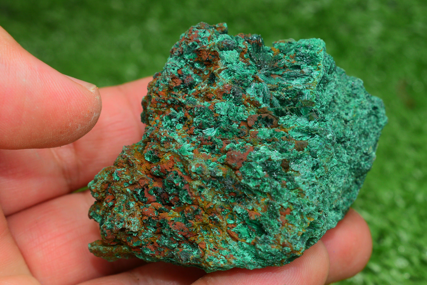 Malachite Crystal from Morocco - Freeform Cluster Shape, Natural and Genuine - MeteoriteNwa.com