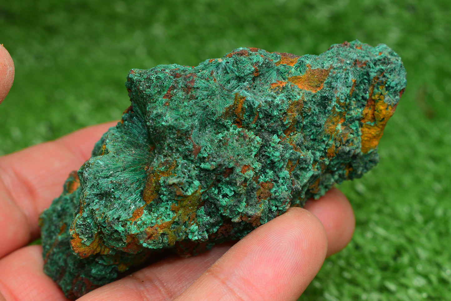 Malachite Crystal from Morocco - Freeform Cluster Shape, Natural and Genuine - MeteoriteNwa.com