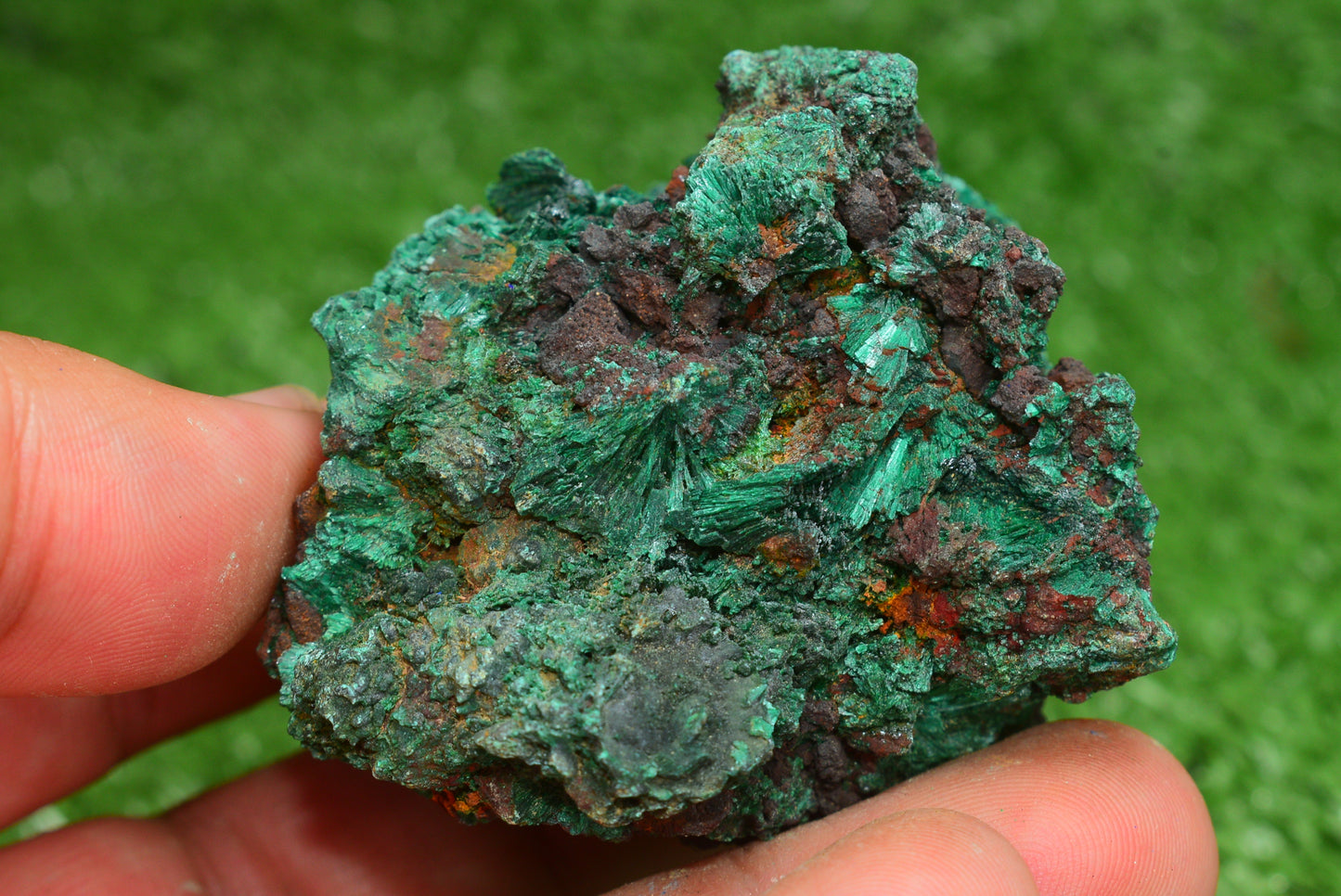 Malachite Crystal from Morocco - Freeform Cluster Shape, Natural and Genuine - MeteoriteNwa.com