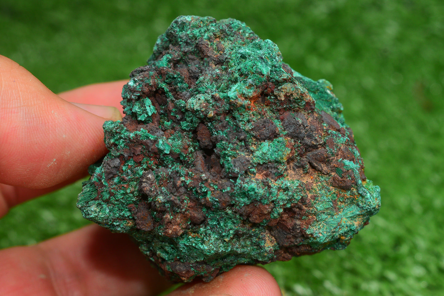 Malachite Crystal from Morocco - Freeform Cluster Shape, Natural and Genuine - MeteoriteNwa.com