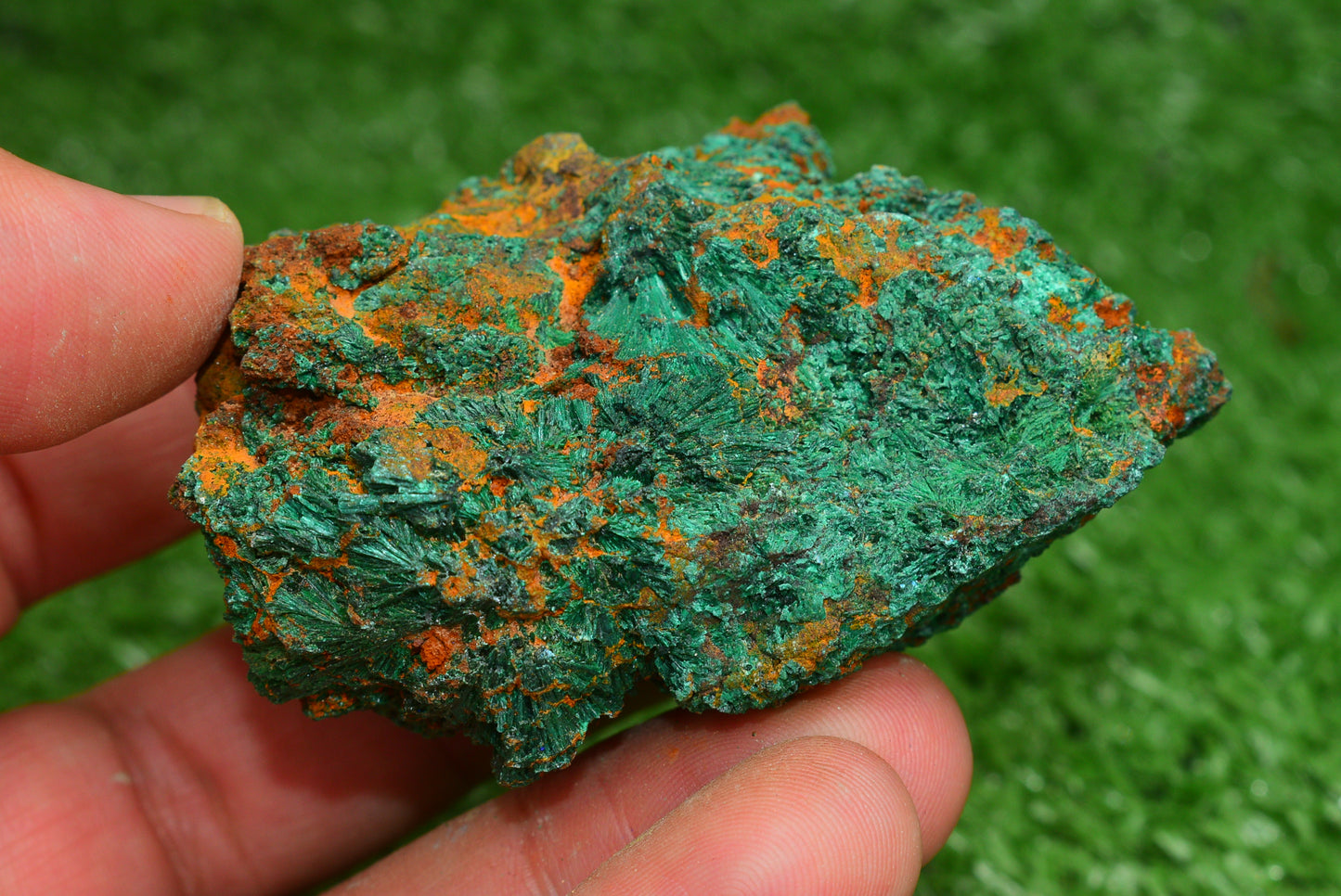 Malachite Crystal from Morocco - Freeform Cluster Shape, Natural and Genuine - MeteoriteNwa.com