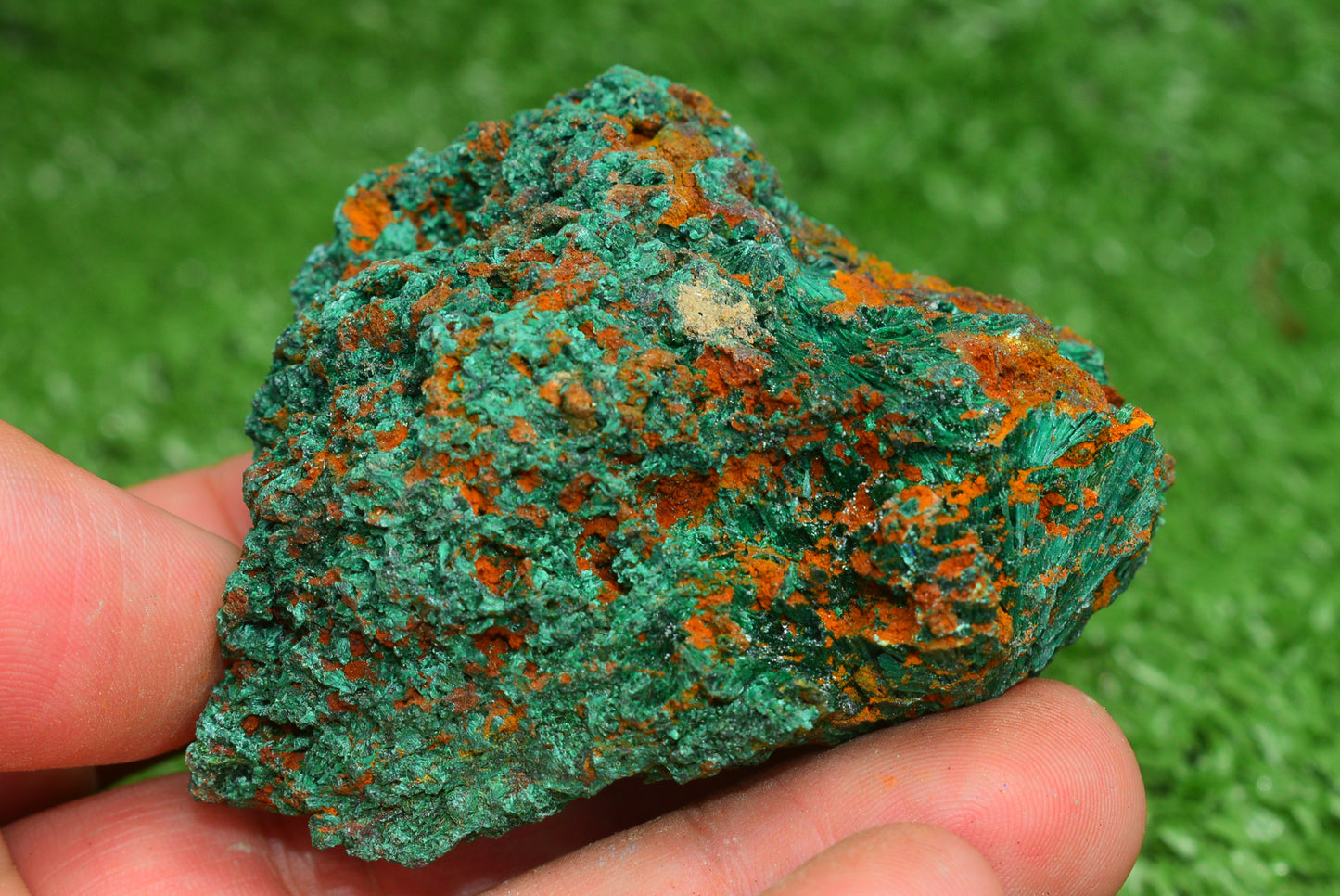 Malachite Crystal from Morocco - Freeform Cluster Shape, Natural and Genuine - MeteoriteNwa.com