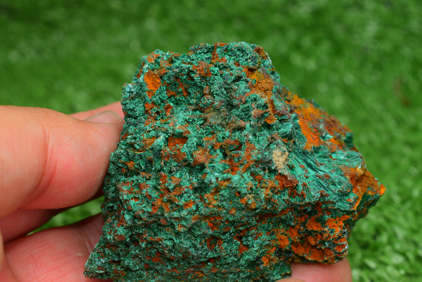 Malachite Crystal from Morocco - Freeform Cluster Shape, Natural and Genuine - MeteoriteNwa.com