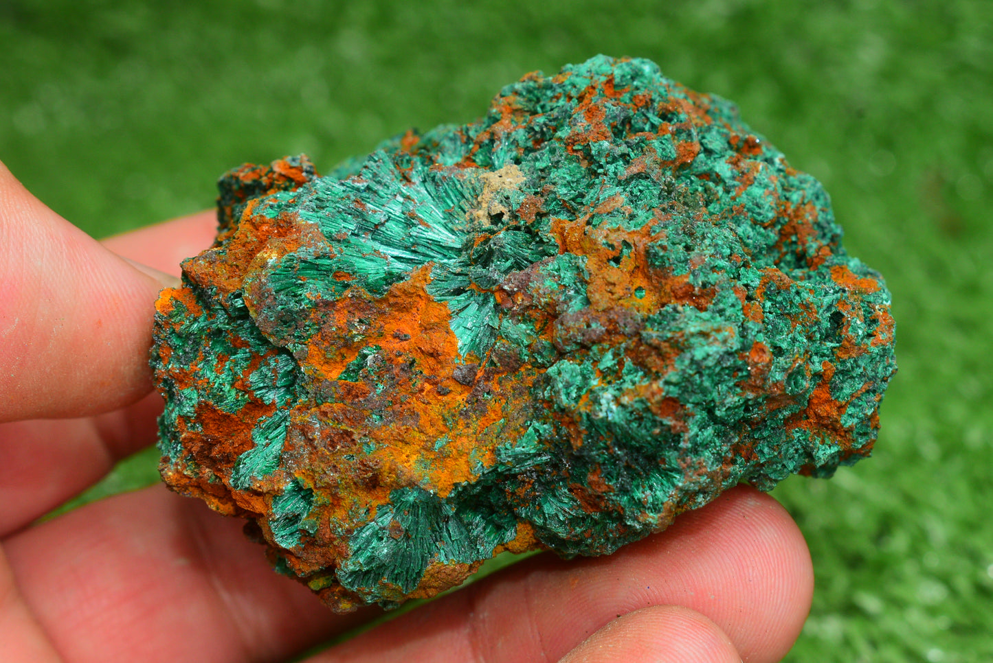 Malachite Crystal from Morocco - Freeform Cluster Shape, Natural and Genuine - MeteoriteNwa.com