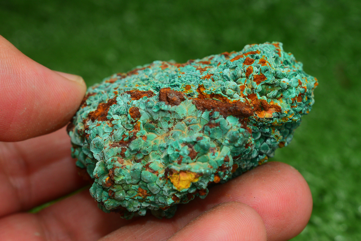 Malachite Crystal from Morocco - Freeform Cluster Shape, Natural and Genuine - MeteoriteNwa.com