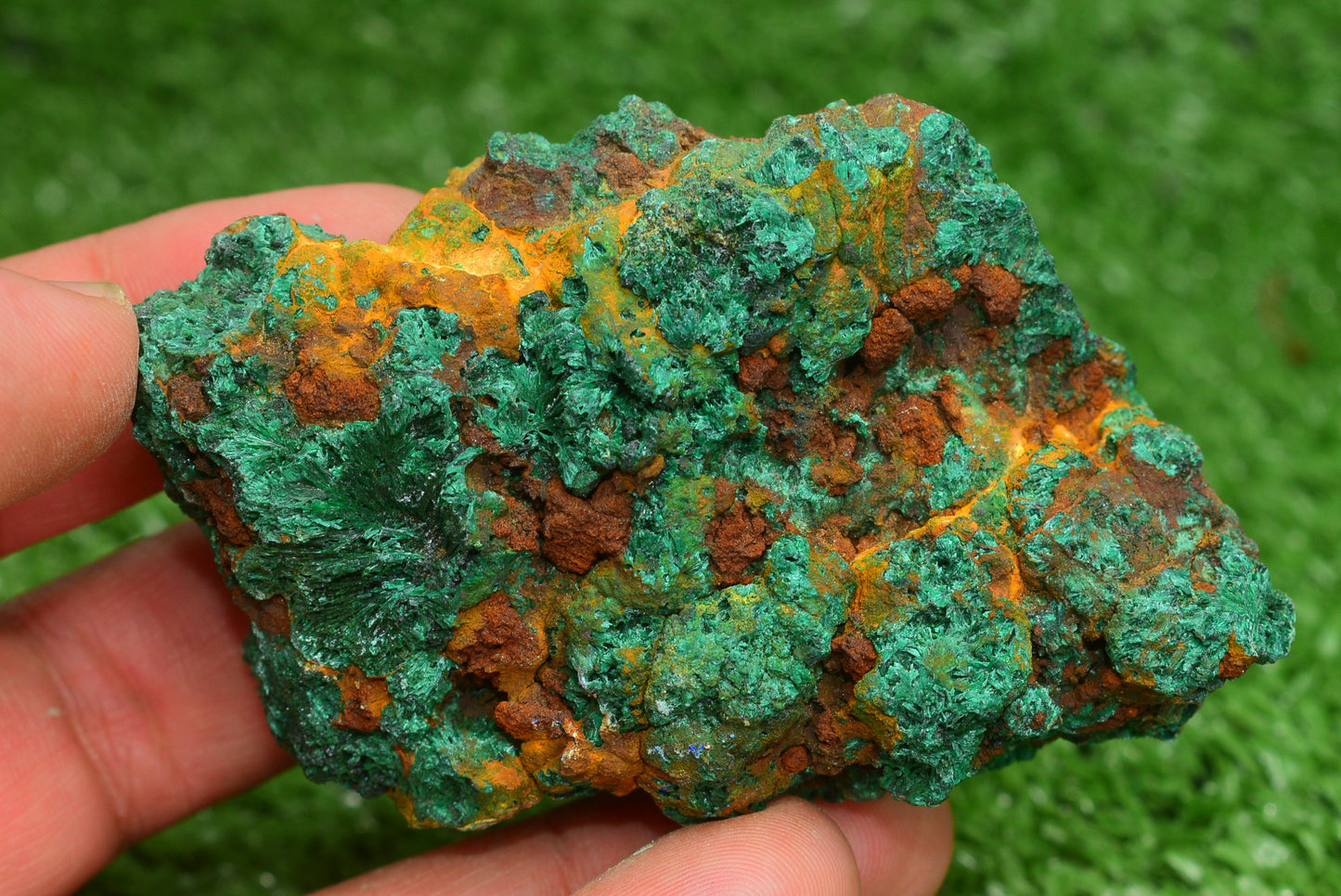 Malachite Crystal from Morocco - Freeform Cluster Shape, Natural and Genuine - MeteoriteNwa.com