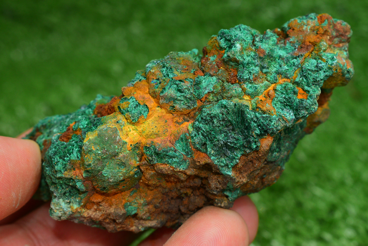 Malachite Crystal from Morocco - Freeform Cluster Shape, Natural and Genuine - MeteoriteNwa.com