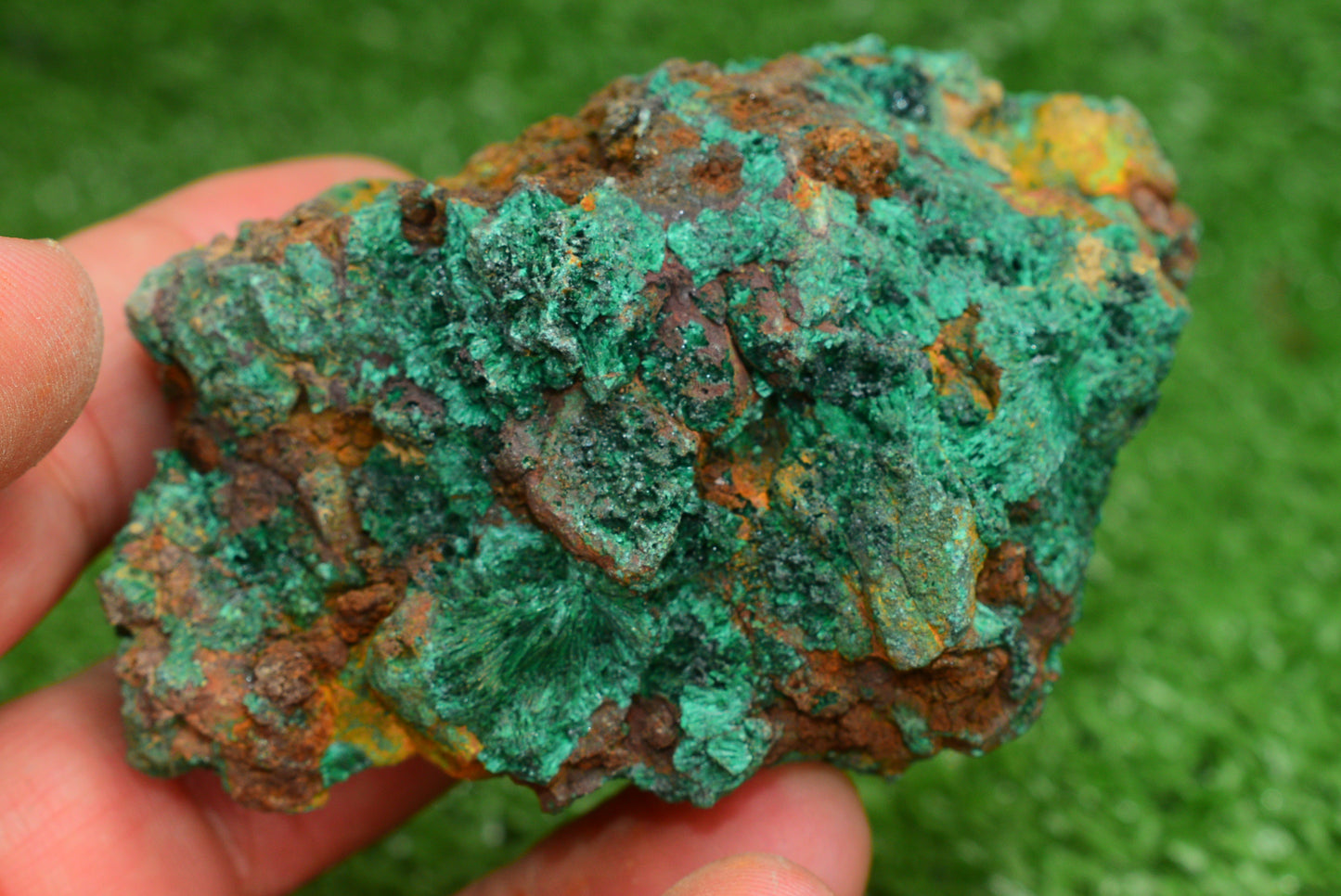 Malachite Crystal from Morocco - Freeform Cluster Shape, Natural and Genuine - MeteoriteNwa.com