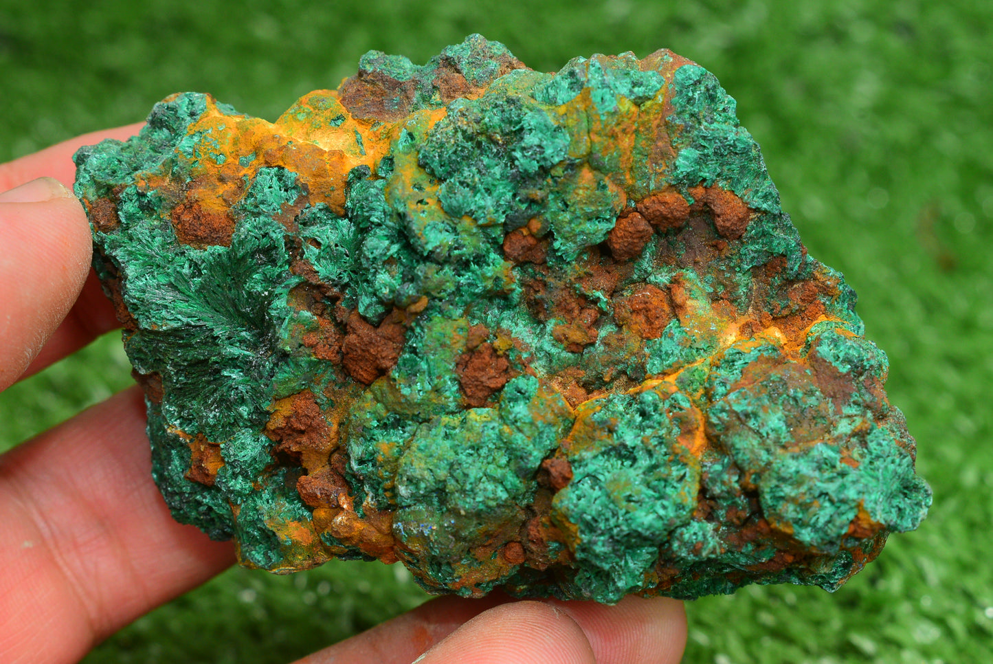Malachite Crystal from Morocco - Freeform Cluster Shape, Natural and Genuine - MeteoriteNwa.com