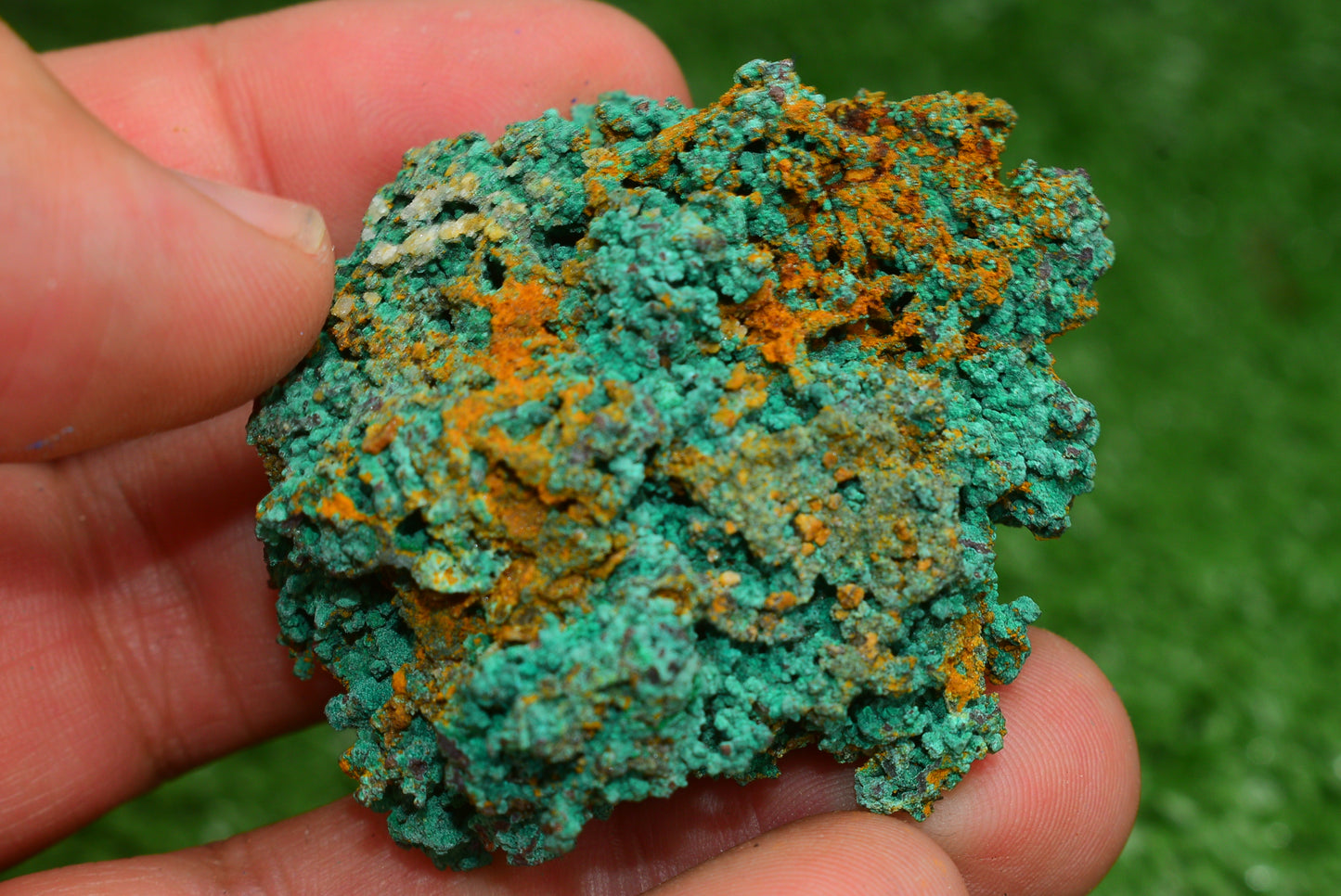 Azurite over Malachite Crystal from Morocco - Freeform Cluster Shape, Natural and Genuine - MeteoriteNwa.com