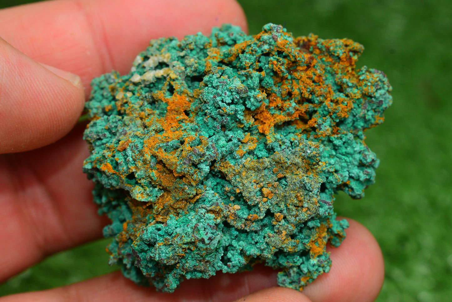 Azurite over Malachite Crystal from Morocco - Freeform Cluster Shape, Natural and Genuine - MeteoriteNwa.com