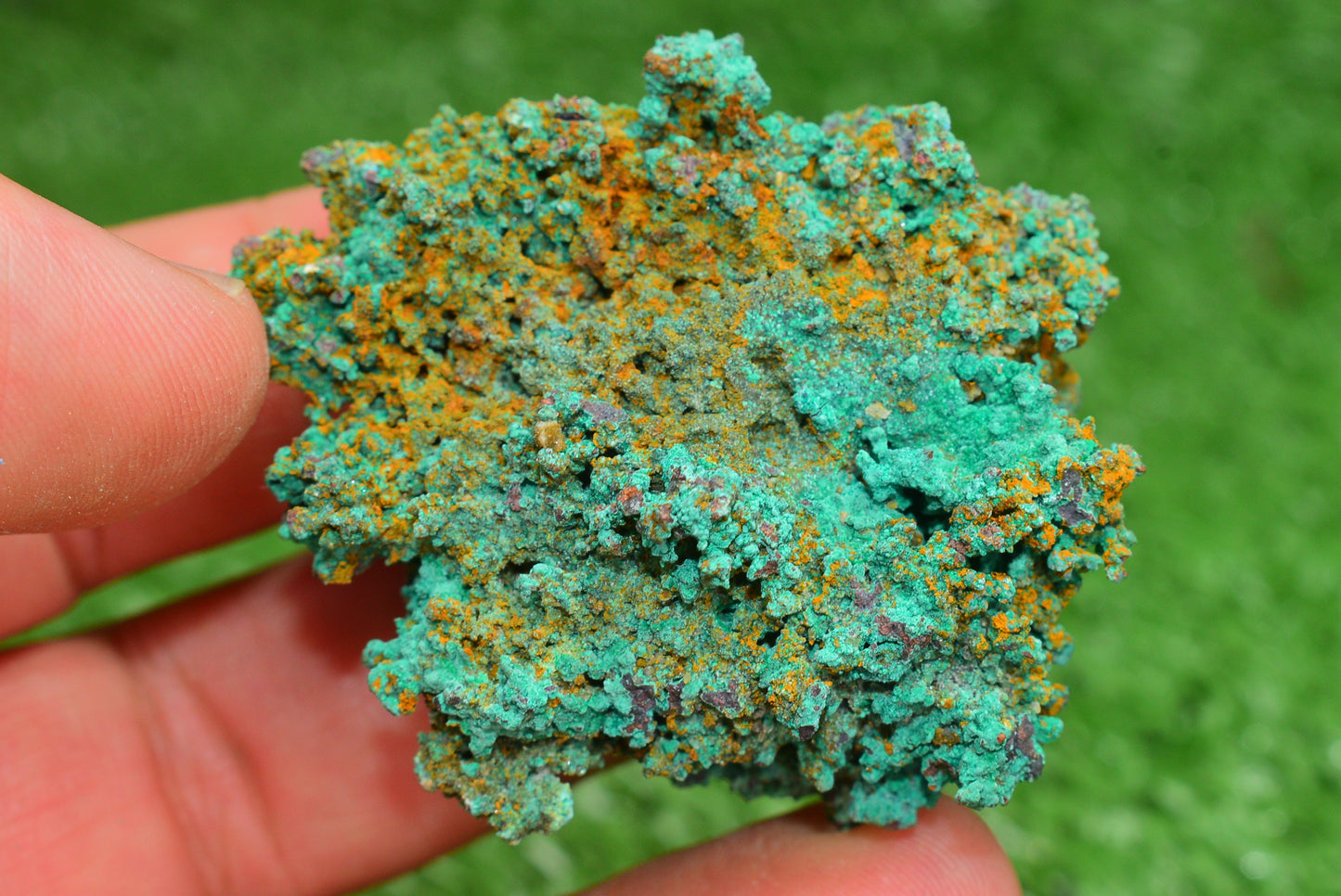 Azurite over Malachite Crystal from Morocco - Freeform Cluster Shape, Natural and Genuine - MeteoriteNwa.com