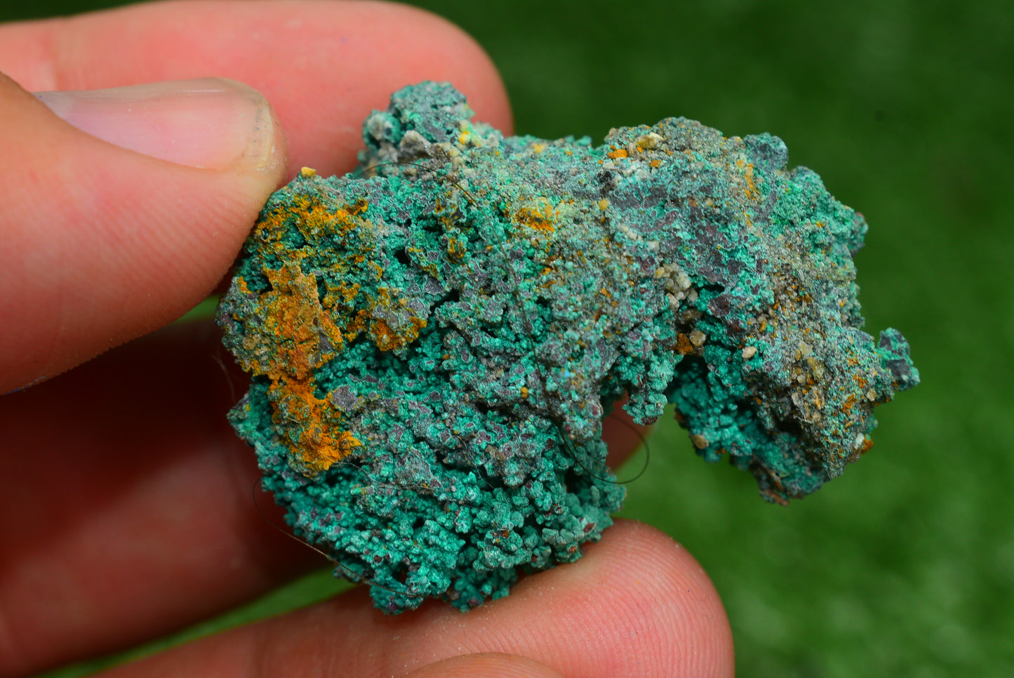 Azurite over Malachite Crystal from Morocco - Freeform Cluster Shape, Natural and Genuine - MeteoriteNwa.com
