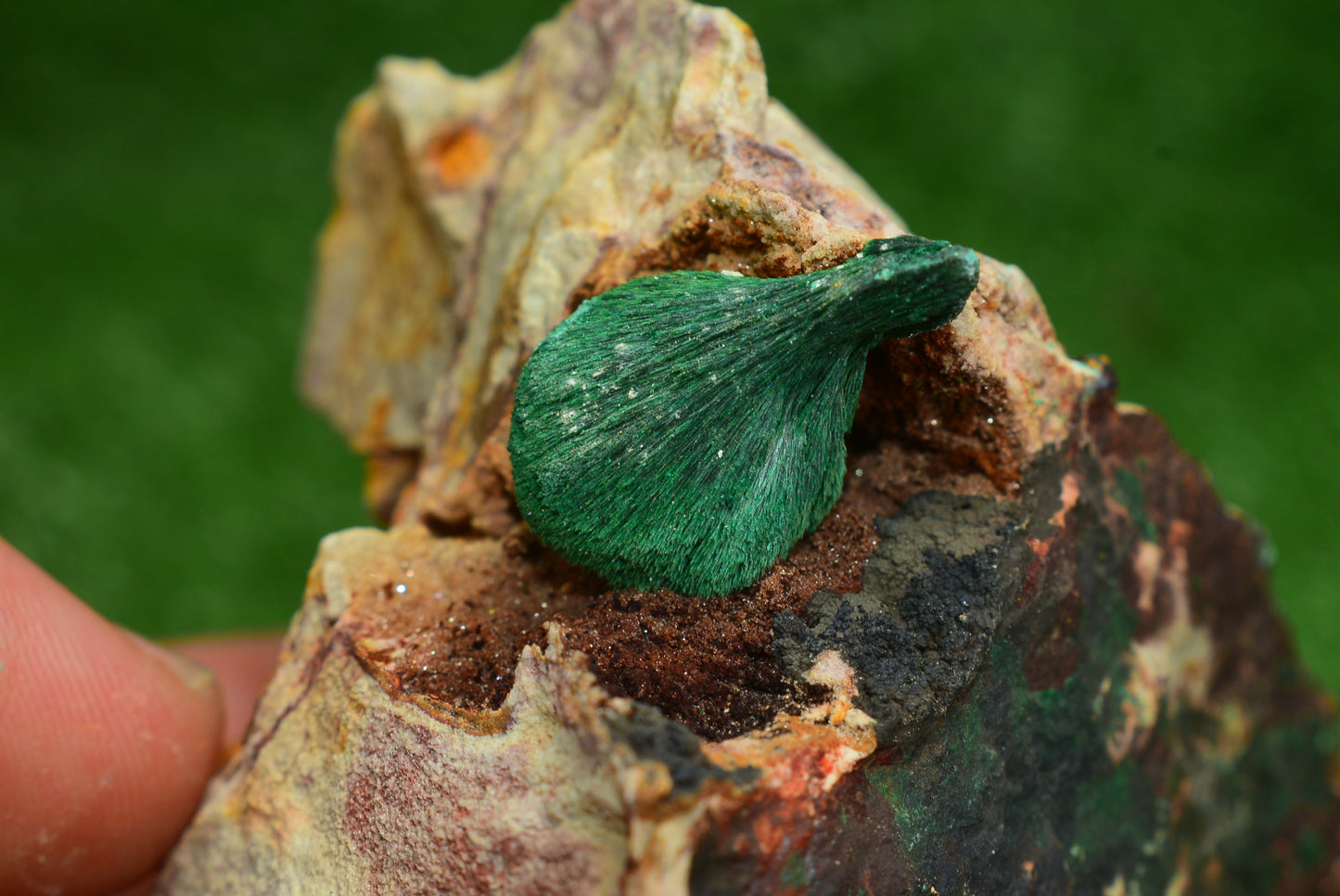 Stunning Fibrous Malachite Crystal from Morocco Genuine and Natural, Freeform Cluster Shape - Perfect for Collectors and Healers - MeteoriteNwa.com