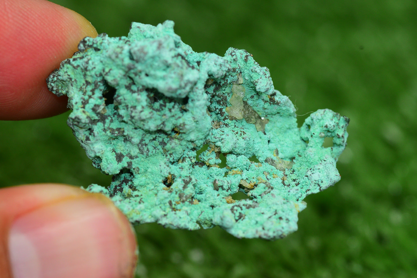 Raw Native Copper Nugget Natural Rough Green Mineral Specimen from Morocco Rare Metaphysical Healing Stone Collectible - MeteoriteNwa.com