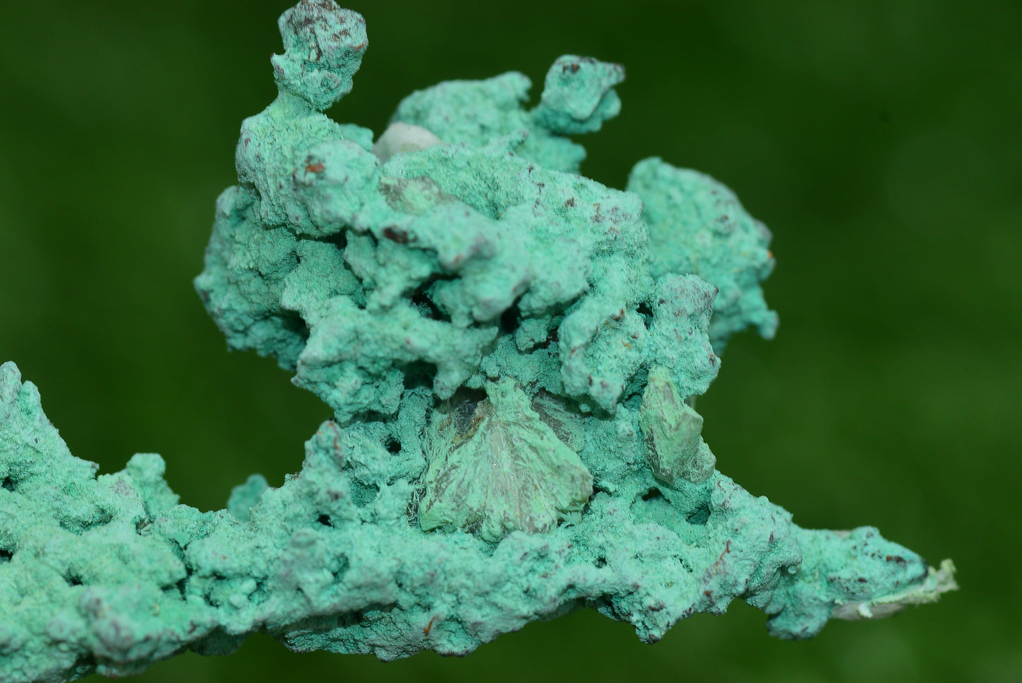 Raw Native Copper Nugget Natural Rough Green Mineral Specimen from Morocco Healing Stone - MeteoriteNwa.com