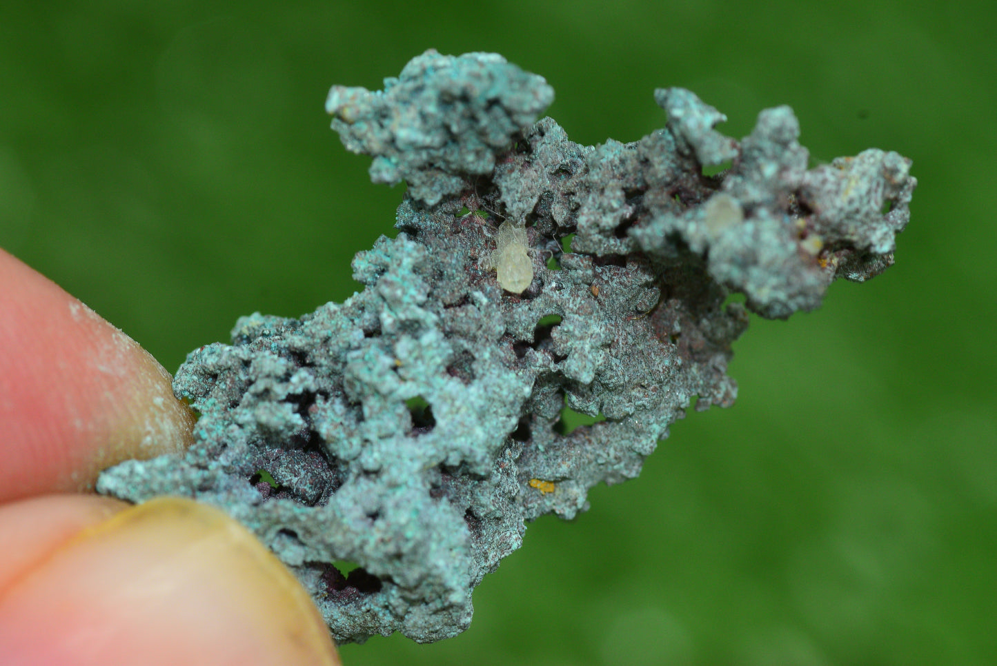Raw Native Copper Nugget Natural Rough Green Mineral Specimen from Morocco Healing Stone - MeteoriteNwa.com