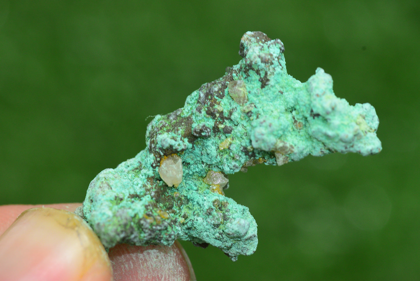 Raw Native Copper Nugget Natural Rough Green Mineral Specimen from Morocco Healing Stone - MeteoriteNwa.com