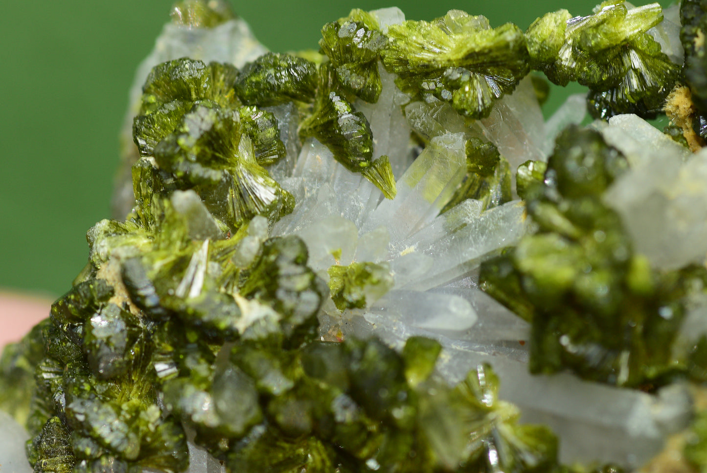 Stunning Epidote in Quartz Cluster from Imilchil, Morocco - A Unique Piece - MeteoriteNwa.com