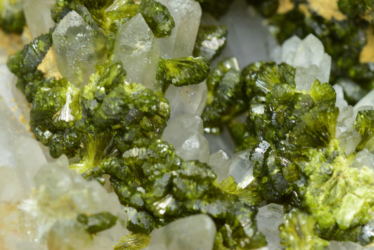 Stunning Epidote in Quartz Cluster from Imilchil, Morocco - A Unique Piece - MeteoriteNwa.com