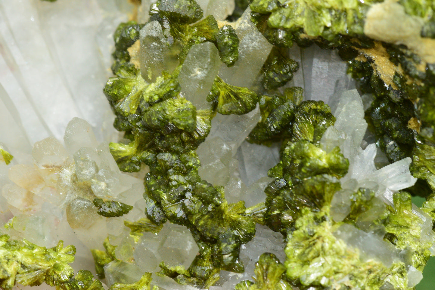 Stunning Epidote in Quartz Cluster from Imilchil, Morocco - A Unique Piece - MeteoriteNwa.com