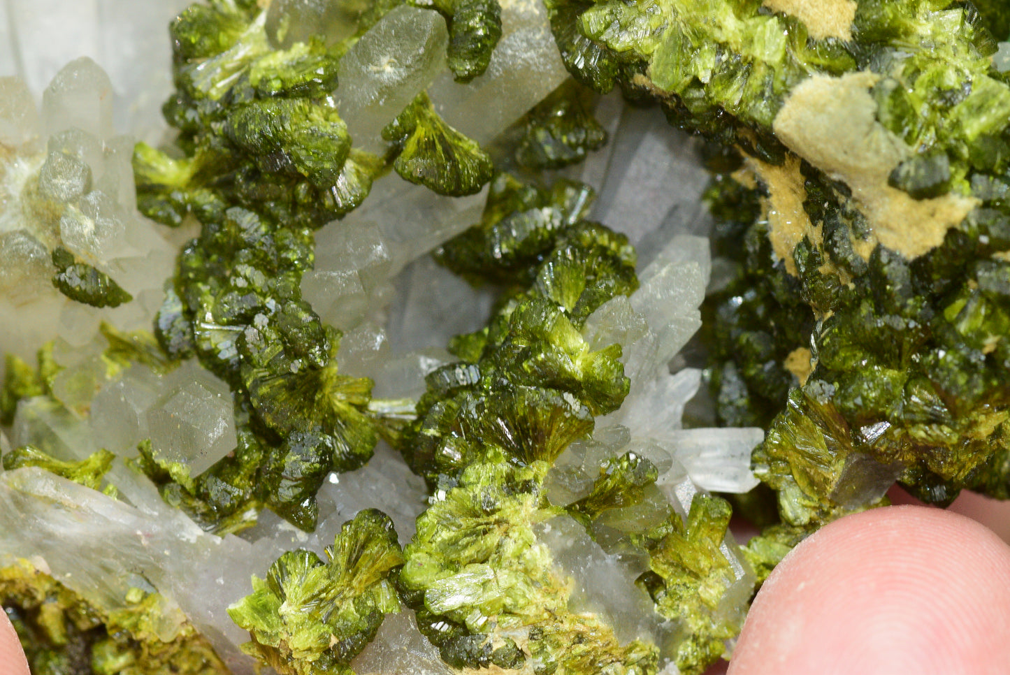 Stunning Epidote in Quartz Cluster from Imilchil, Morocco - A Unique Piece - MeteoriteNwa.com