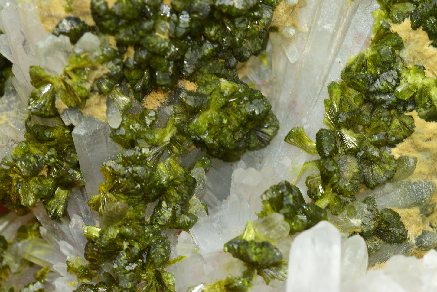 Stunning Epidote in Quartz Cluster from Imilchil, Morocco - A Unique Piece - MeteoriteNwa.com