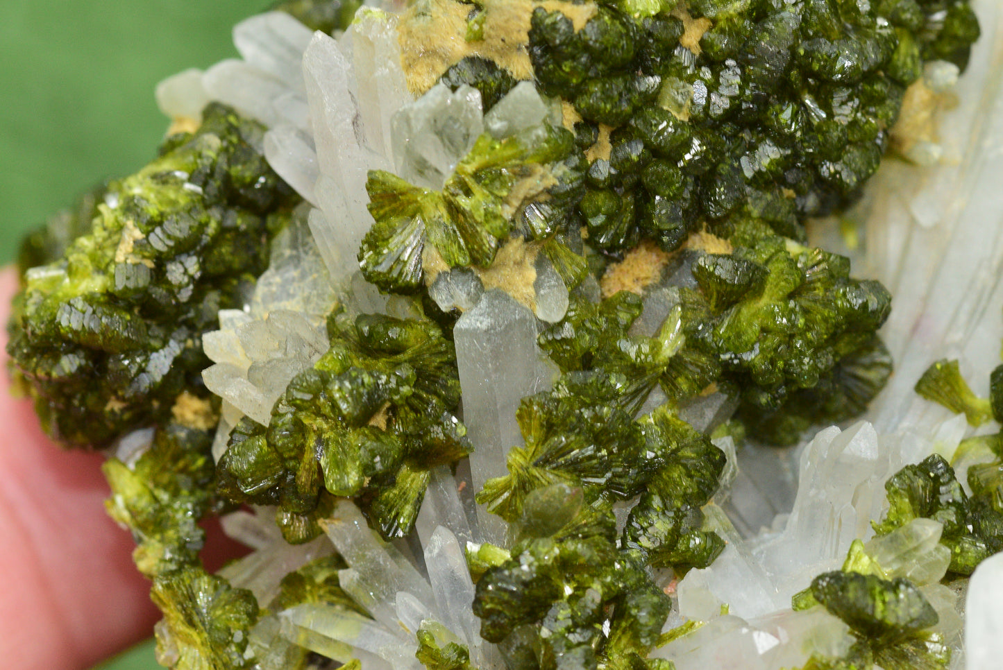 Stunning Epidote in Quartz Cluster from Imilchil, Morocco - A Unique Piece - MeteoriteNwa.com