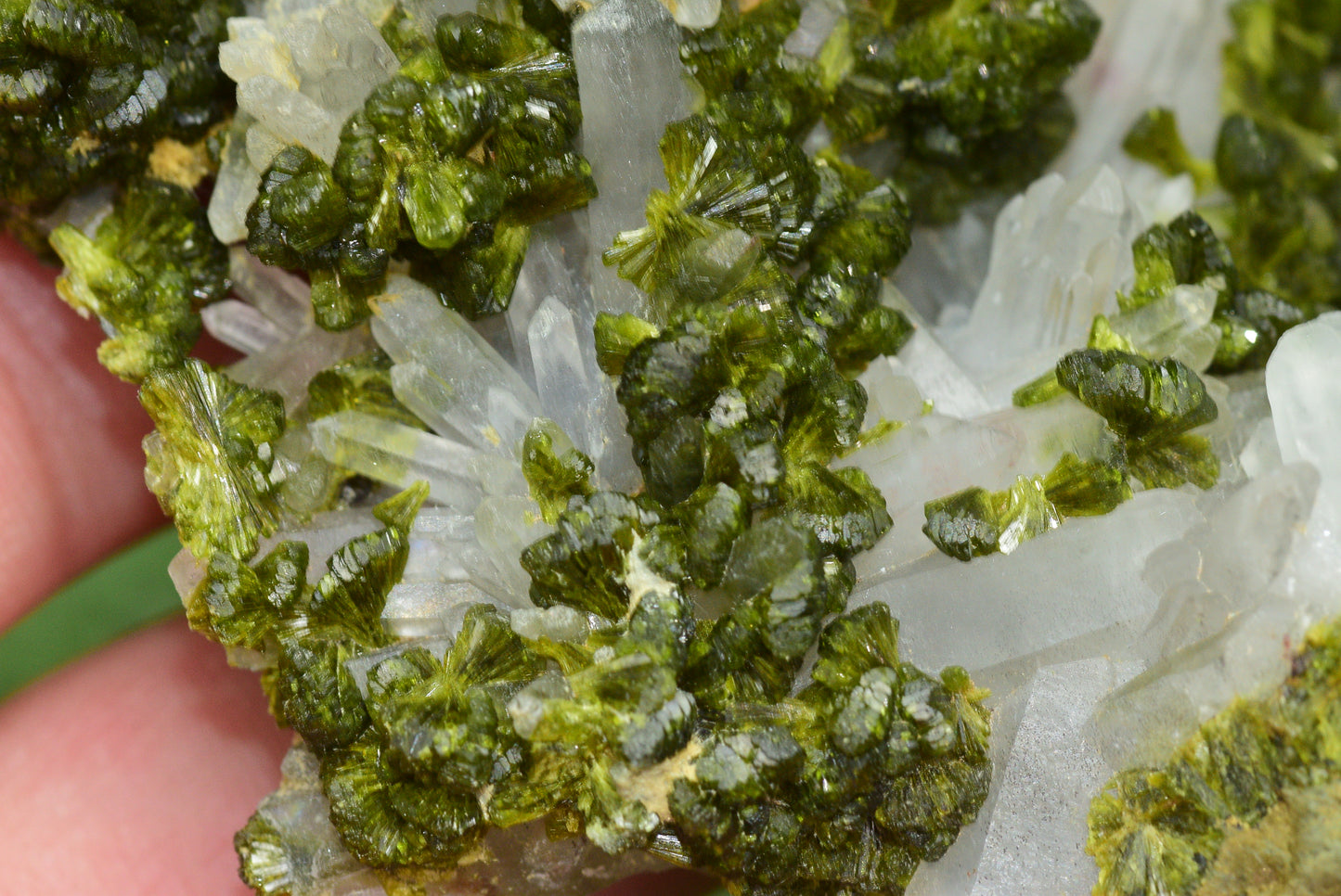 Stunning Epidote in Quartz Cluster from Imilchil, Morocco - A Unique Piece - MeteoriteNwa.com
