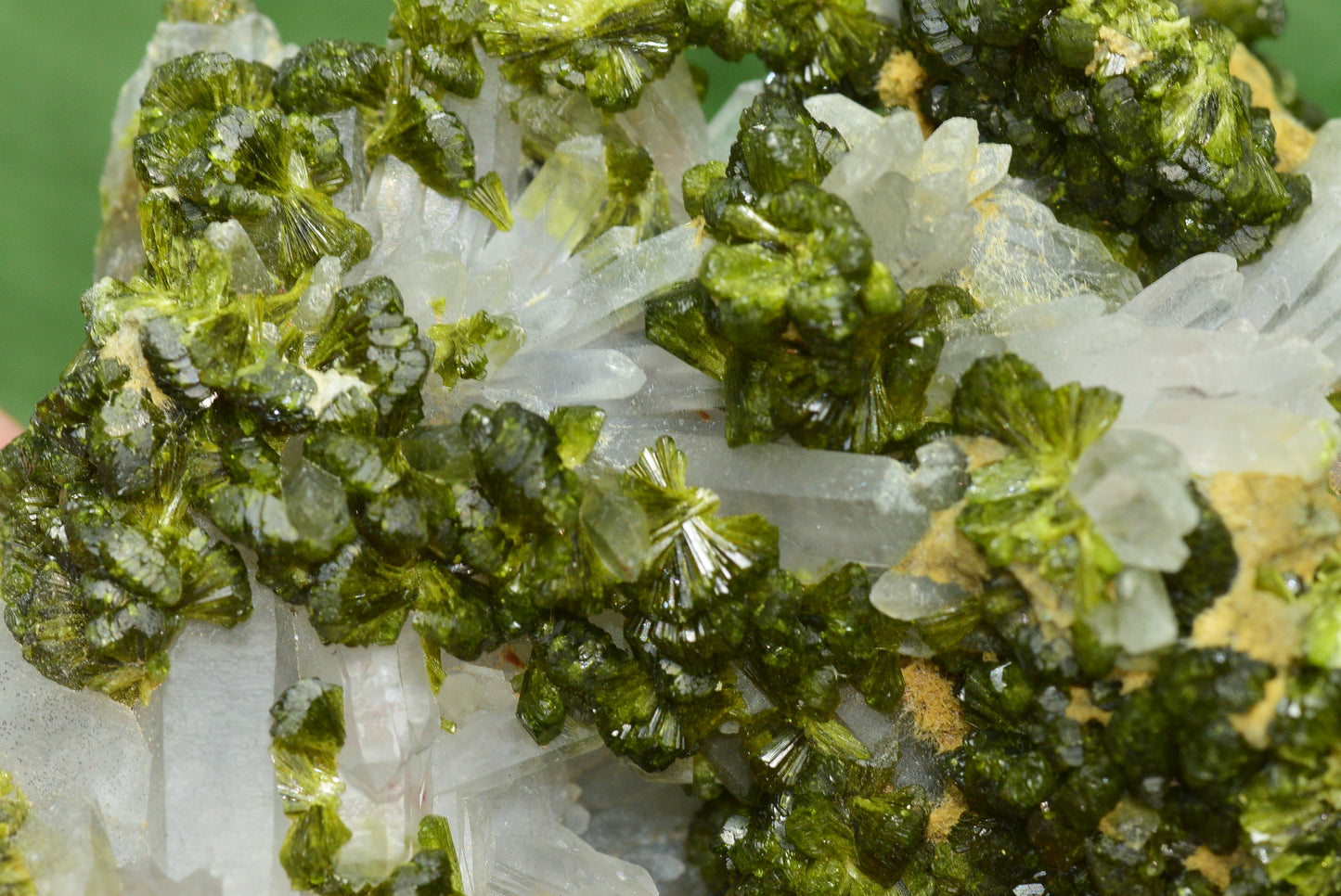 Stunning Epidote in Quartz Cluster from Imilchil, Morocco - A Unique Piece - MeteoriteNwa.com
