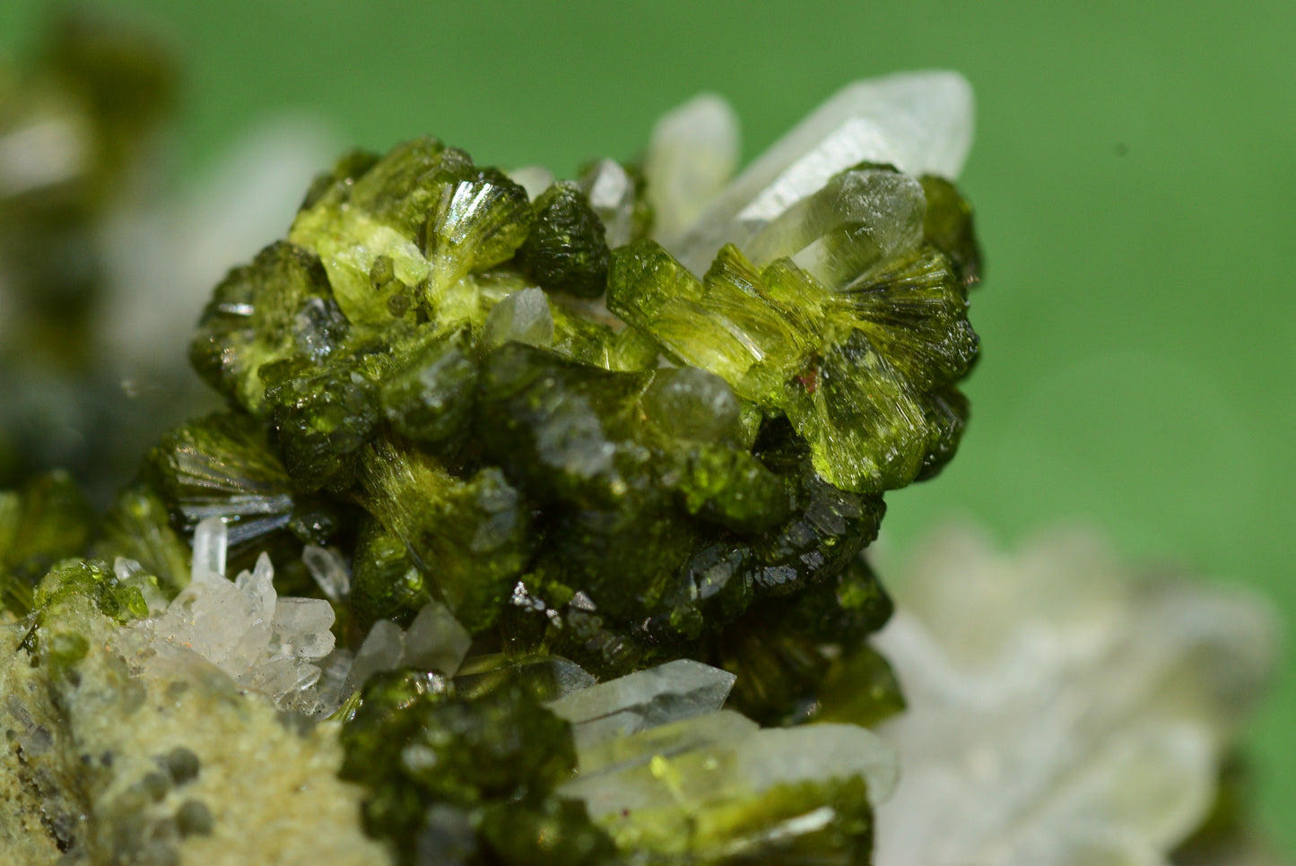 Stunning Epidote in Quartz Cluster from Imilchil, Morocco - A Unique Piece - MeteoriteNwa.com
