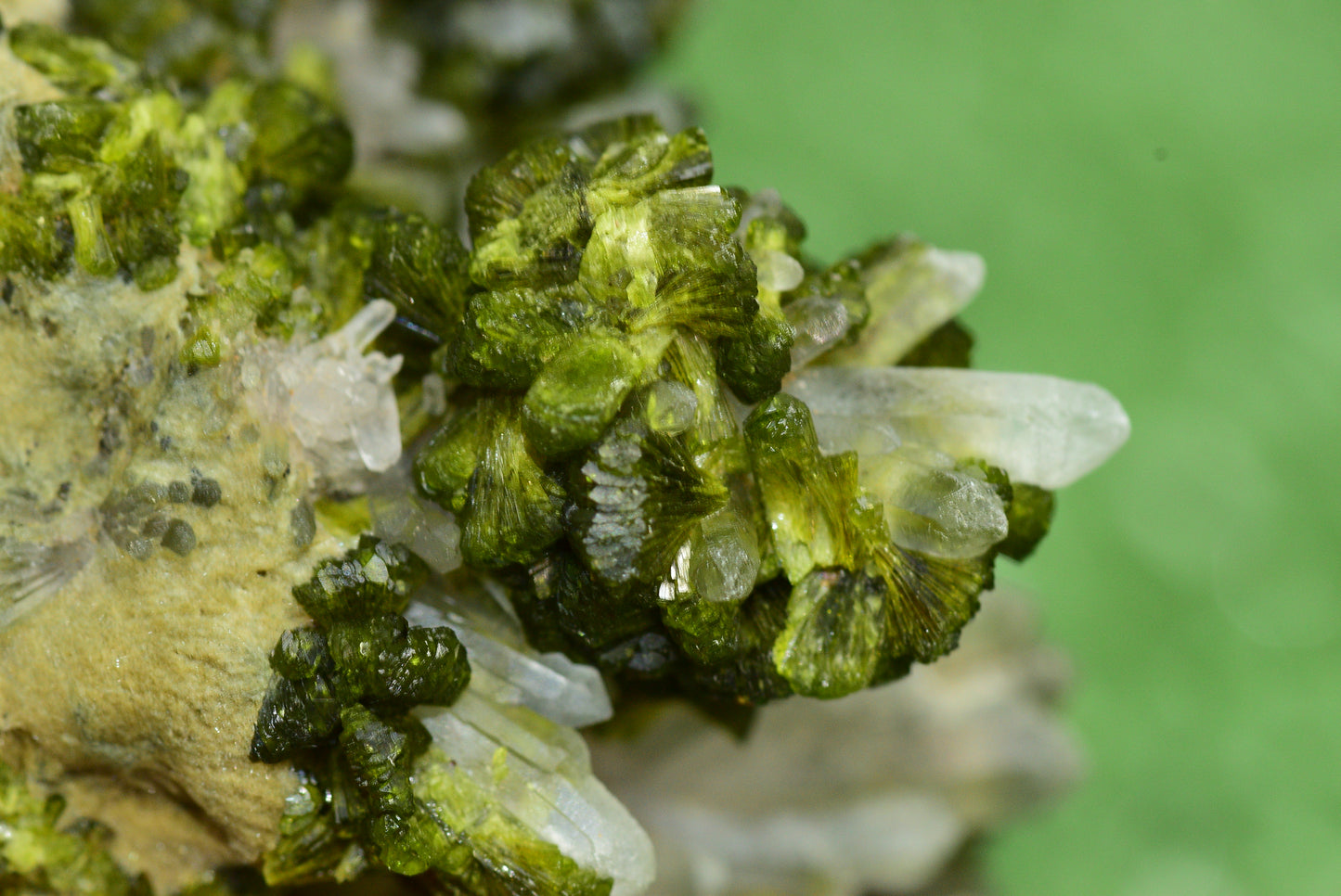 Stunning Epidote in Quartz Cluster from Imilchil, Morocco - A Unique Piece - MeteoriteNwa.com