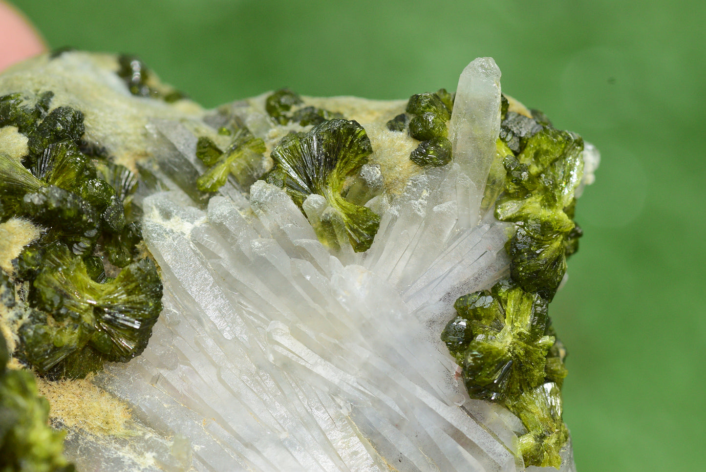 Stunning Epidote in Quartz Cluster from Imilchil, Morocco - A Unique Piece - MeteoriteNwa.com