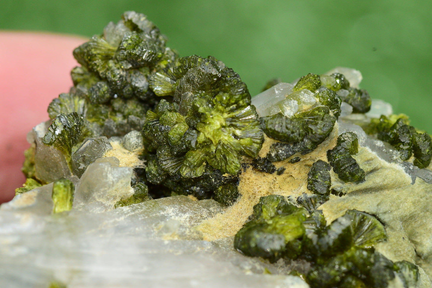 Stunning Epidote in Quartz Cluster from Imilchil, Morocco - A Unique Piece - MeteoriteNwa.com