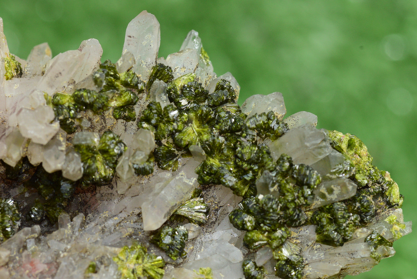 Stunning Epidote in Quartz Cluster from Imilchil, Morocco - A Unique Piece - MeteoriteNwa.com