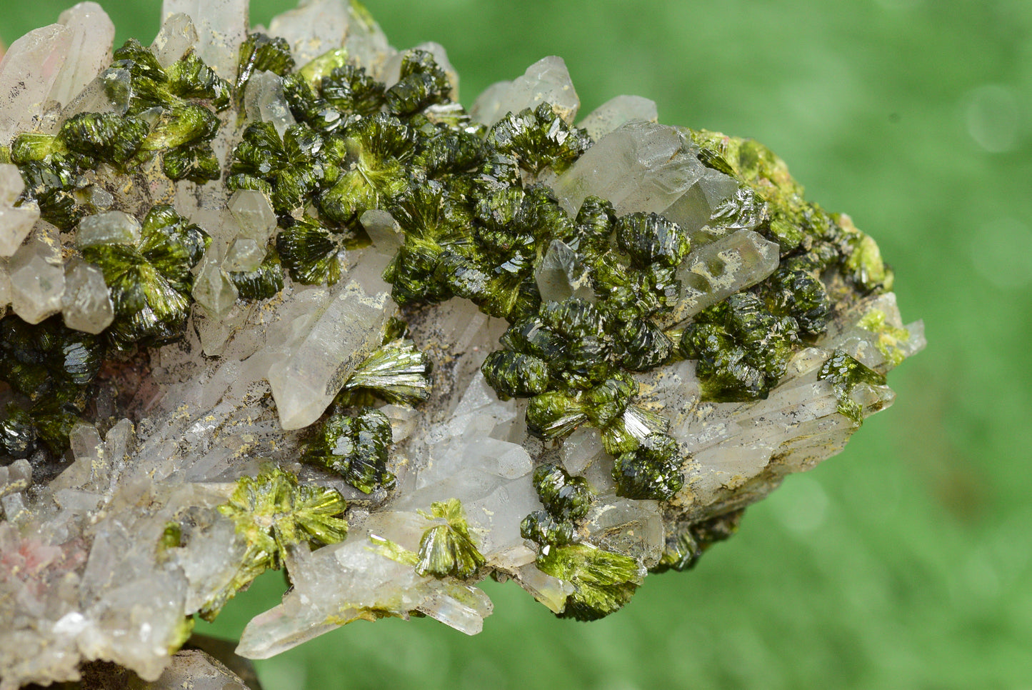 Stunning Epidote in Quartz Cluster from Imilchil, Morocco - A Unique Piece - MeteoriteNwa.com